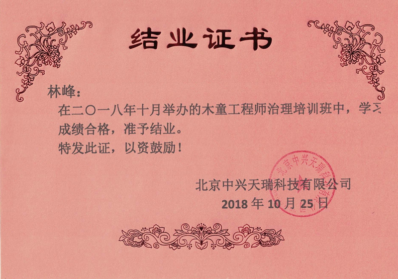 林峰-木童工程师检测与治理服务高级培训证书.jpg